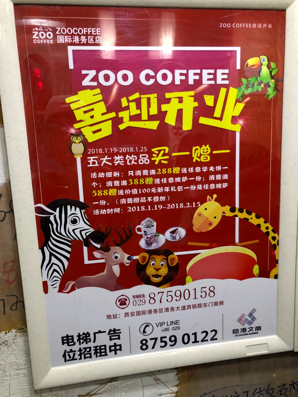 --Zoo Coffee-ҫ̳-(1)