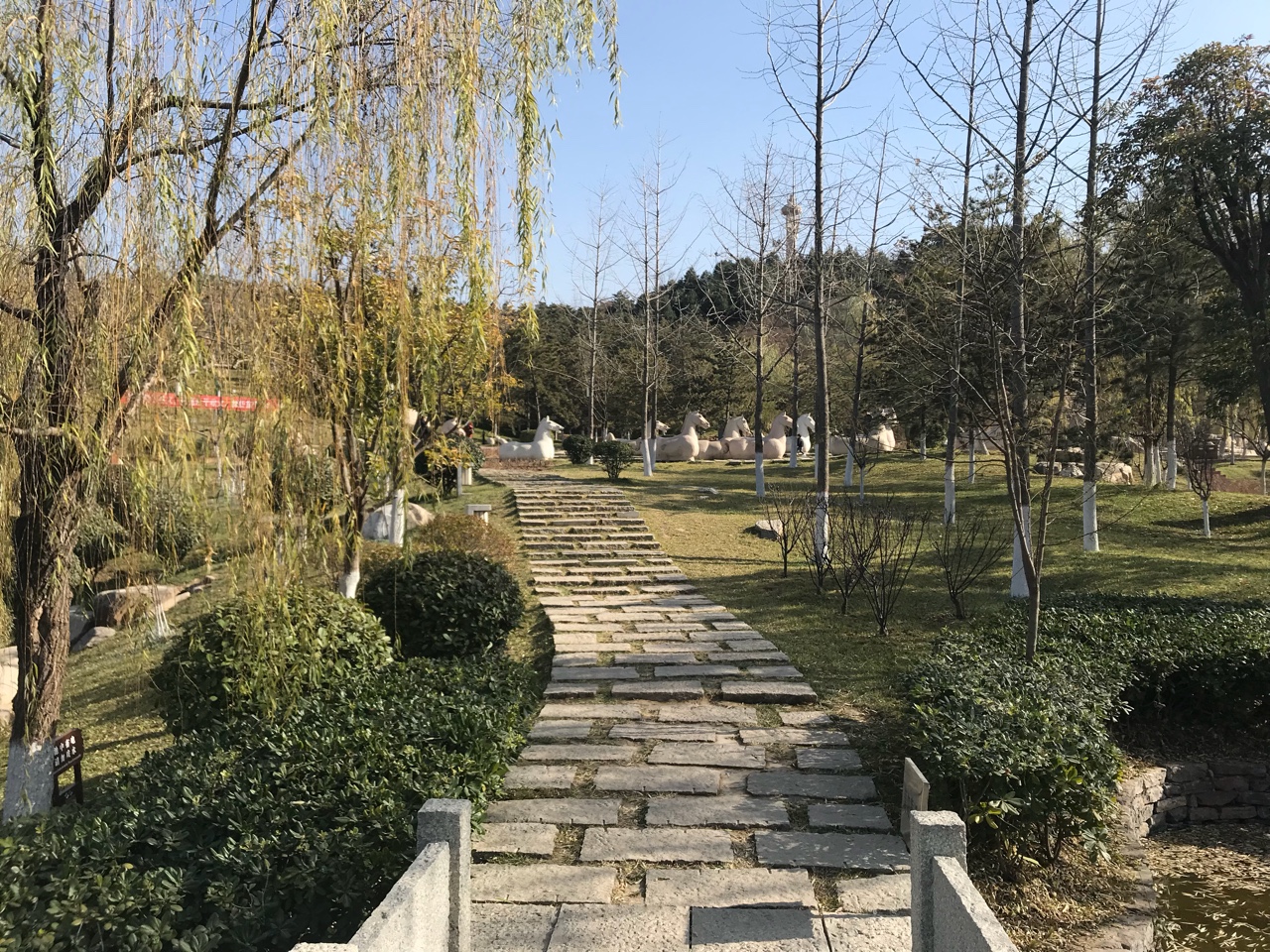 冬日暖阳游鹦鹉寺公园